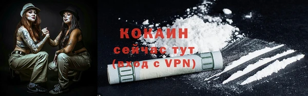 амф Верхний Тагил