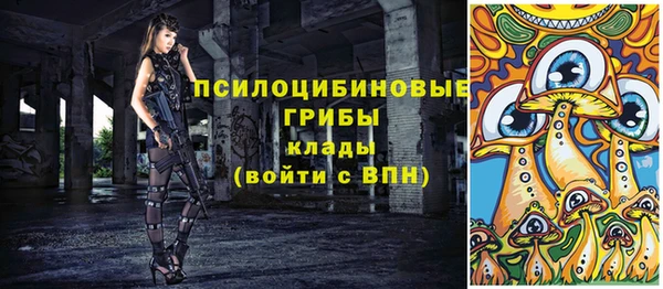 ALPHA PVP Верея