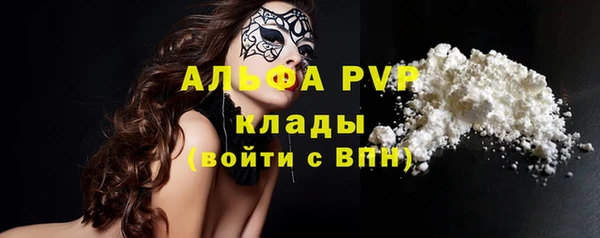 амф Верхний Тагил
