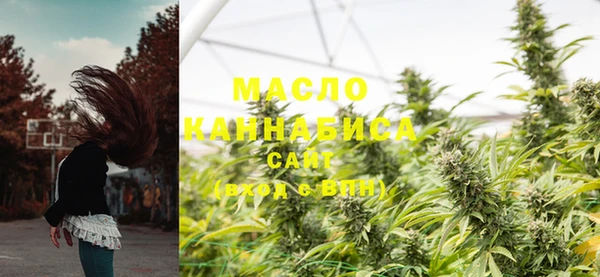 амф Верхний Тагил