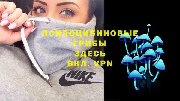 ALPHA PVP Верея