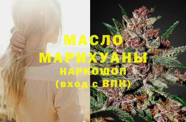 амф Верхний Тагил