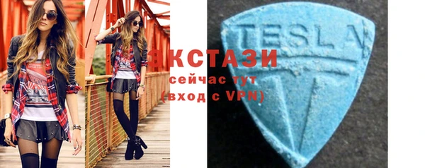 амф Верхний Тагил