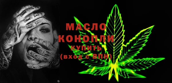 амф Верхний Тагил