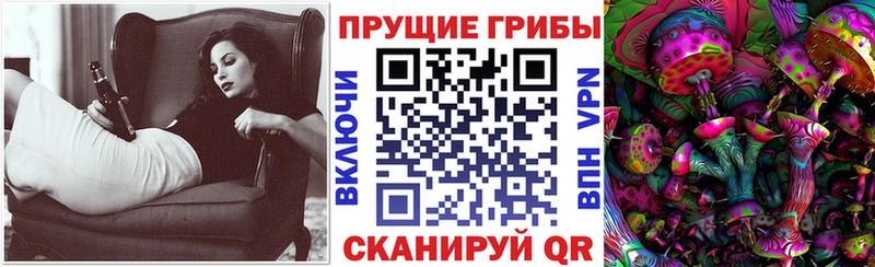 Псилоцибиновые грибы ЛСД  где можно купить   Камышин 