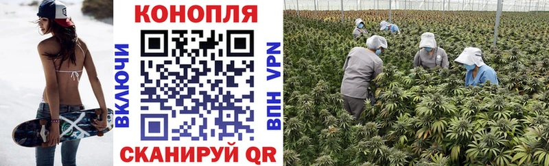 Бошки Шишки White Widow  Камышин 